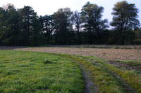 Zdjęcie: bosutow1.jpg