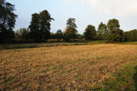 Zdjęcie: bosutow2.jpg