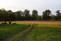 Zdjęcie: bosutow3.jpg
